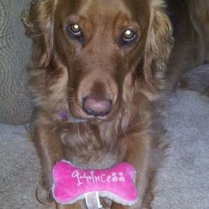 Meet your Posher, Sue